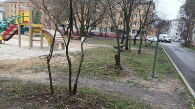 Опасные кусты 1.jpg Опасные кусты 1.jpg